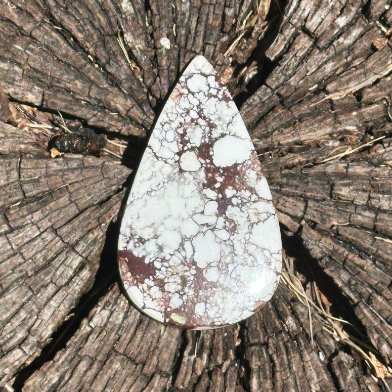 82ct Wild Horse Agate Cab