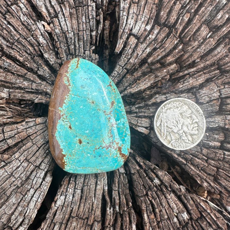 86ct #8 Turquoise Mine Cab